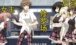 后宫时间动漫,宫廷权谋与爱恨情仇的华丽演绎